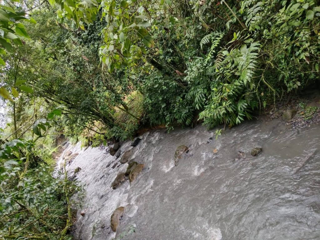whatsapp image 2026 04 20 at 7.48.35 pm (2)
