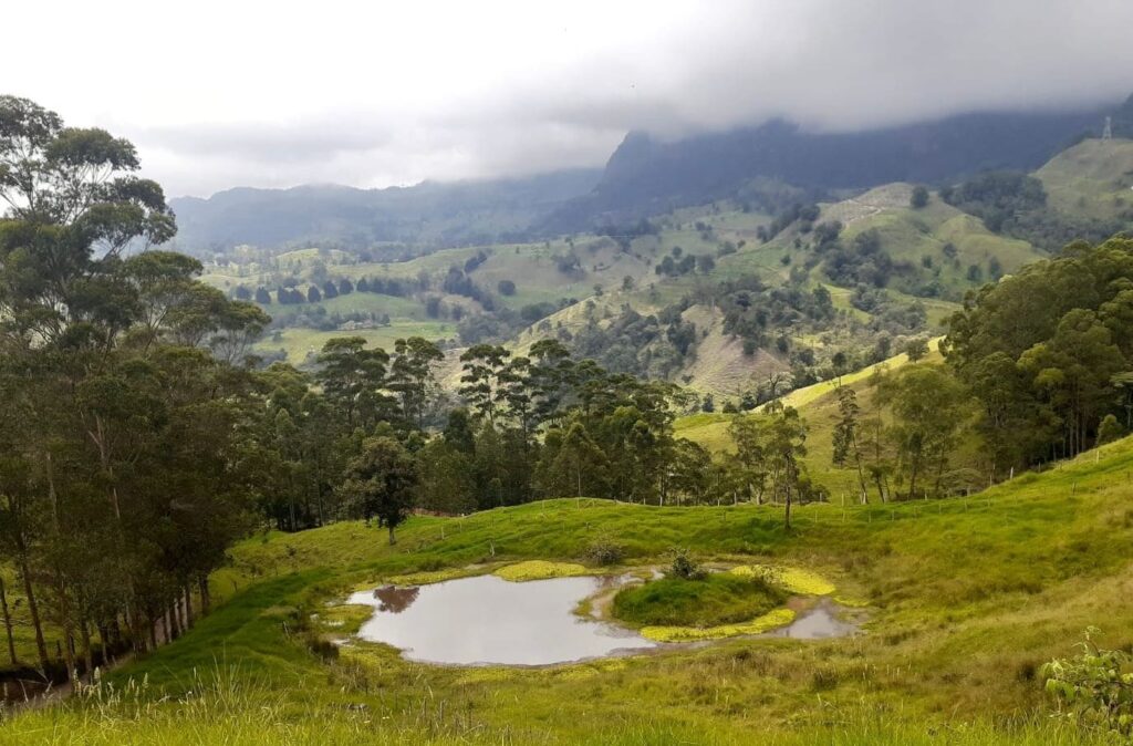 Lote 8 Mi lugar Soñado