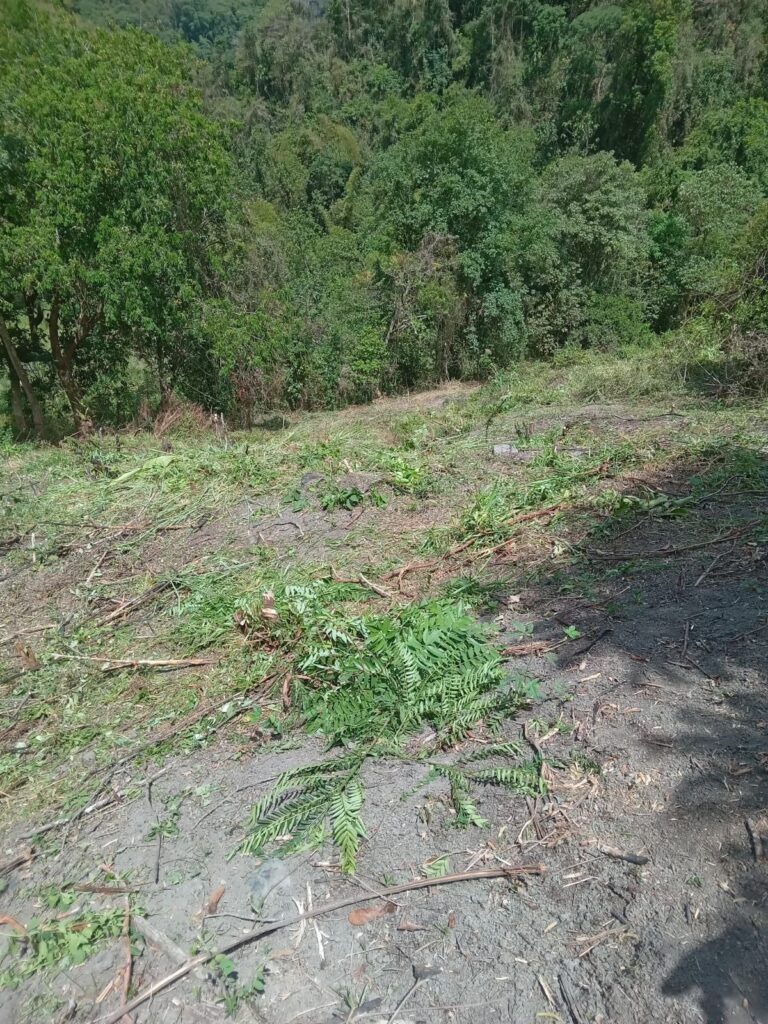 Lote 10 mi lugar soñado