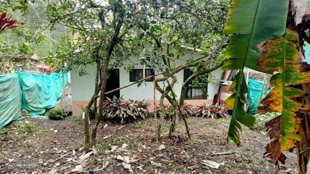 lote 11 mi lugar soñado