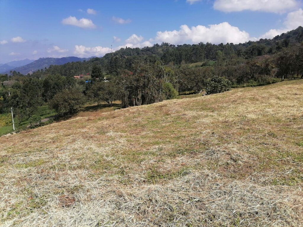 Lote 6 mi lugar soñado
