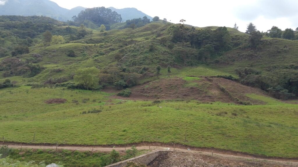 finca para ganado mi lugar soñado